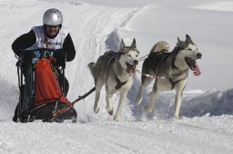 Kandersteg 2013